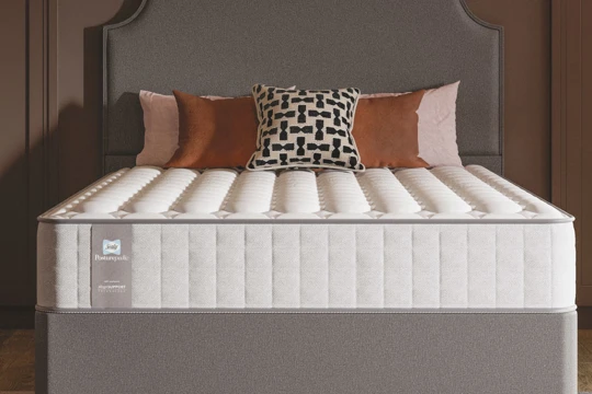 Sealy Plainbanners 2023 Tablet